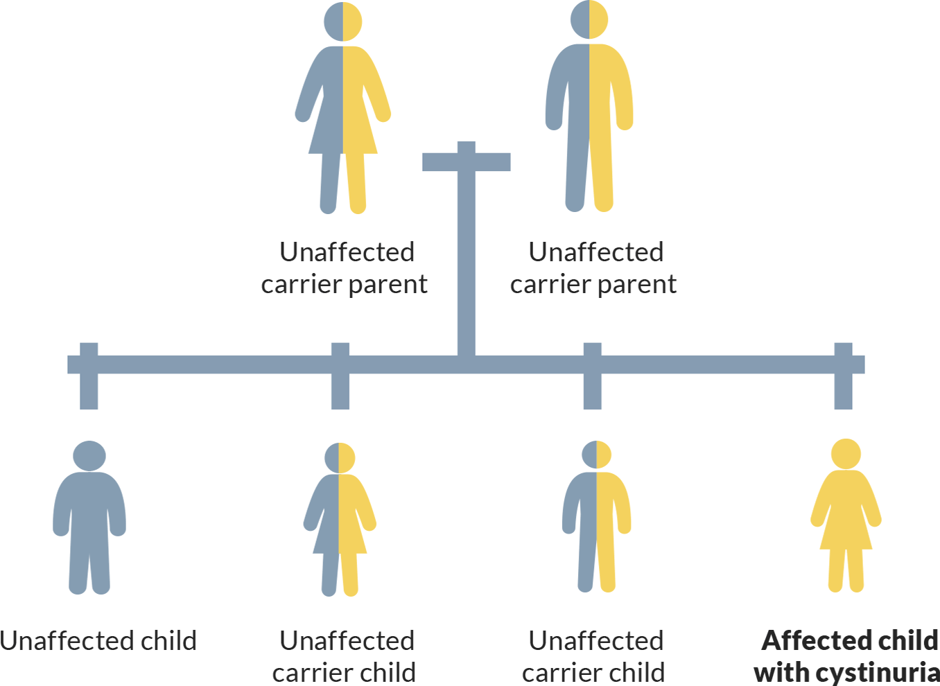 Picture showing how a person with cystinuria inherited 2 abnormal genes—1 from each parent.